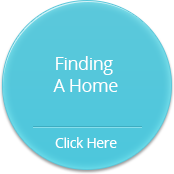 finding a home